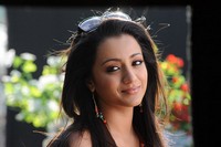NTR Dammu Exclusive Stills